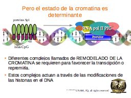 Slide 22