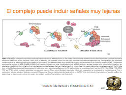 Slide 23