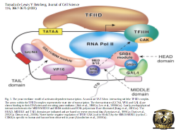 Slide 24