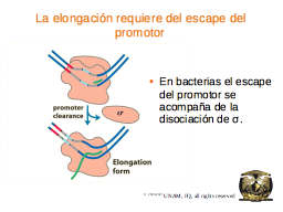 Slide 27
