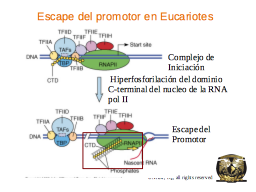 Slide 28