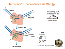 Slide 30