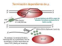 Slide 31