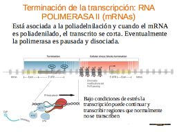 Slide 32