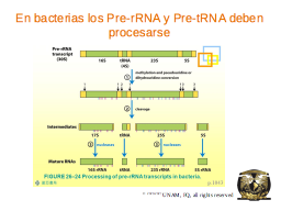 Slide 35