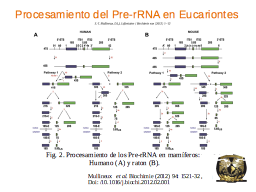 Slide 36