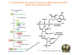 Slide 38