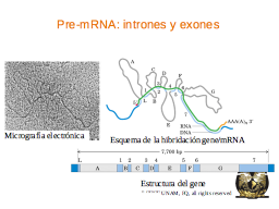 Slide 39