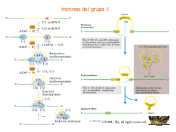 Slide 40