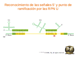 Slide 41