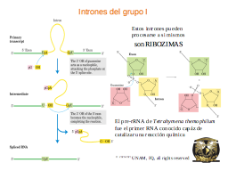 Slide 42