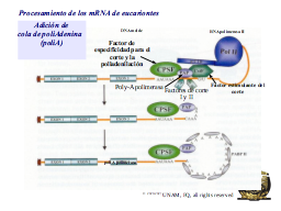 Slide 44