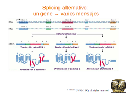 Slide 46