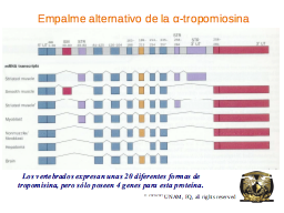 Slide 47