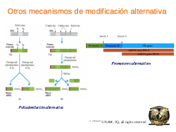 Slide 48