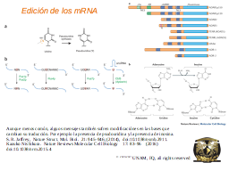 Slide 49