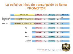 Slide 7