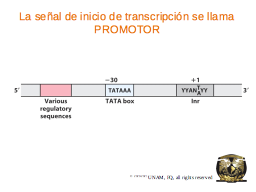 Slide 8