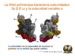 Slide 9