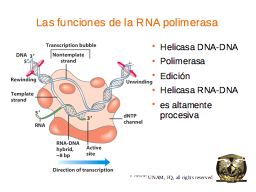 Slide 10