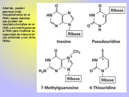 Slide 11