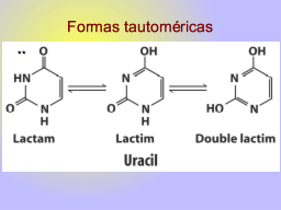 Slide 13