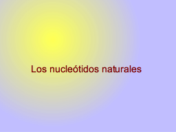 Slide 17