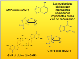 Slide 23