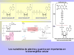 Slide 24