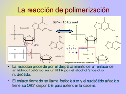 Slide 26