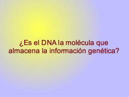 Slide 28