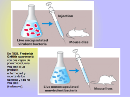 Slide 29