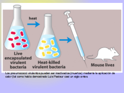Slide 30