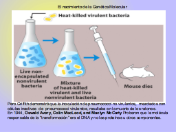 Slide 31