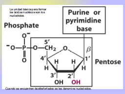 Slide 5