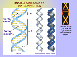 Slide 42