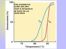 Slide 48