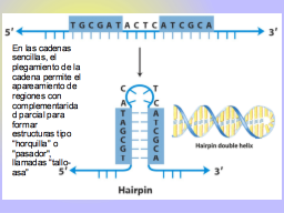 Slide 50