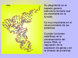 Slide 54