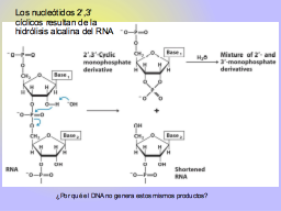 Slide 55