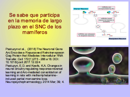 Slide 58