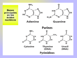 Slide 9