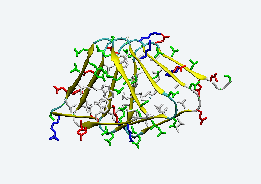 beta-helix