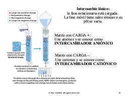 Slide 15