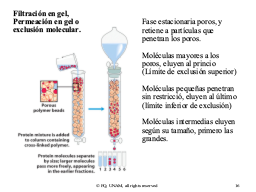 Slide 16