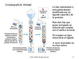 Slide 17