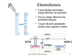 Slide 23