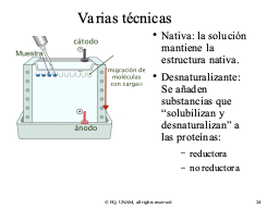 Slide 24