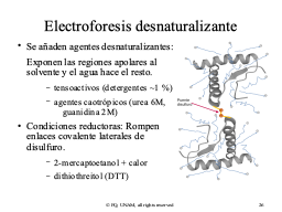 Slide 26