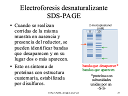 Slide 27